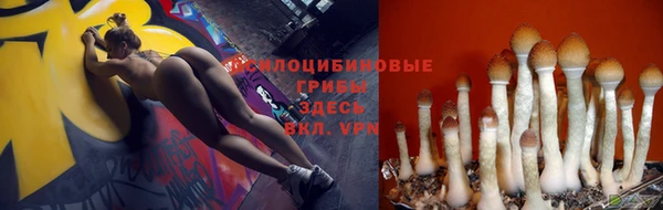 дурь Навашино